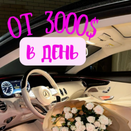 VIP   