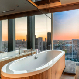 VIP �����������