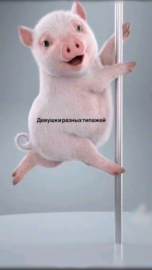 ���� ������ �����